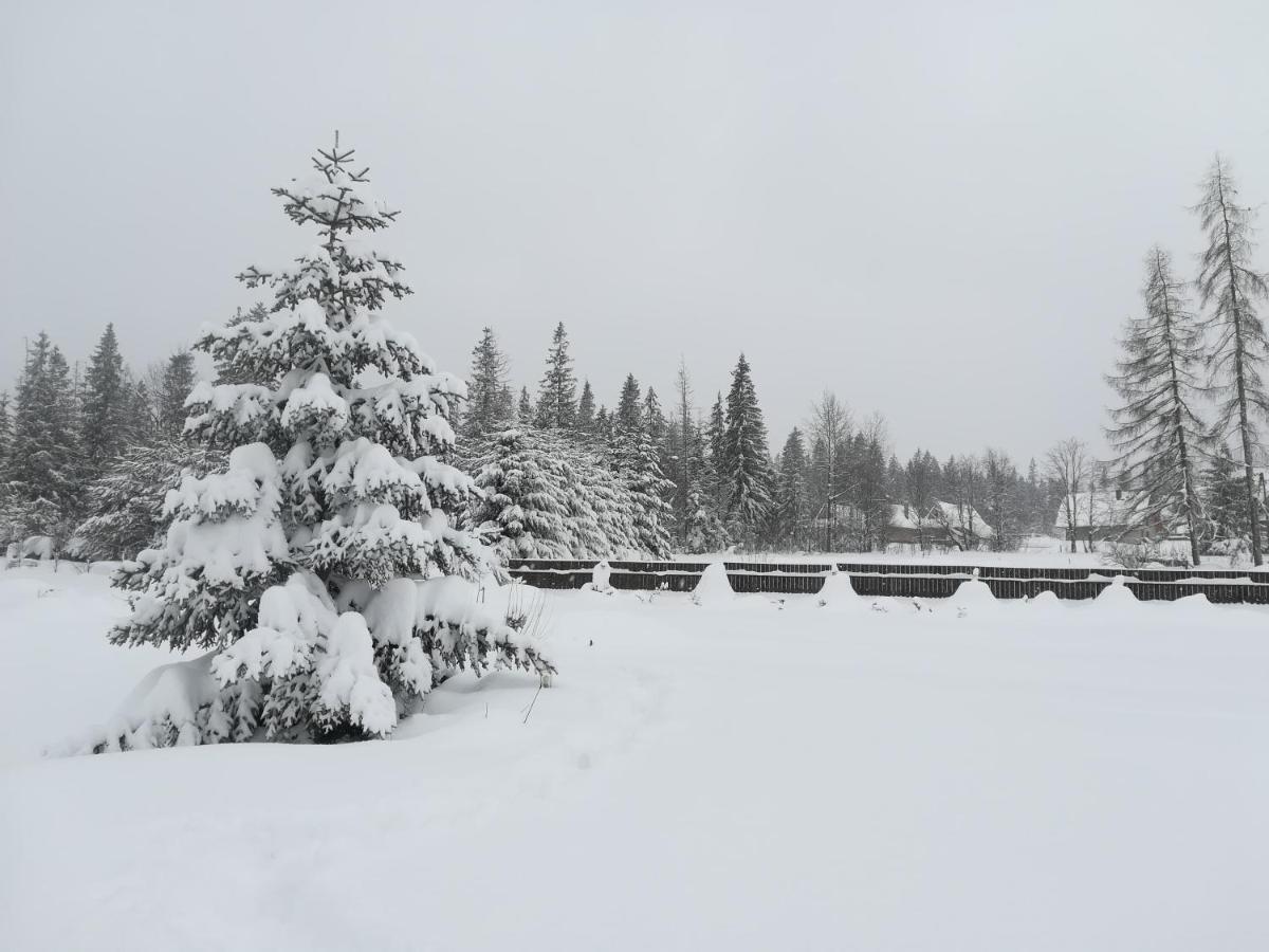 Apartament Nad Stawem Zakopane Exteriér fotografie