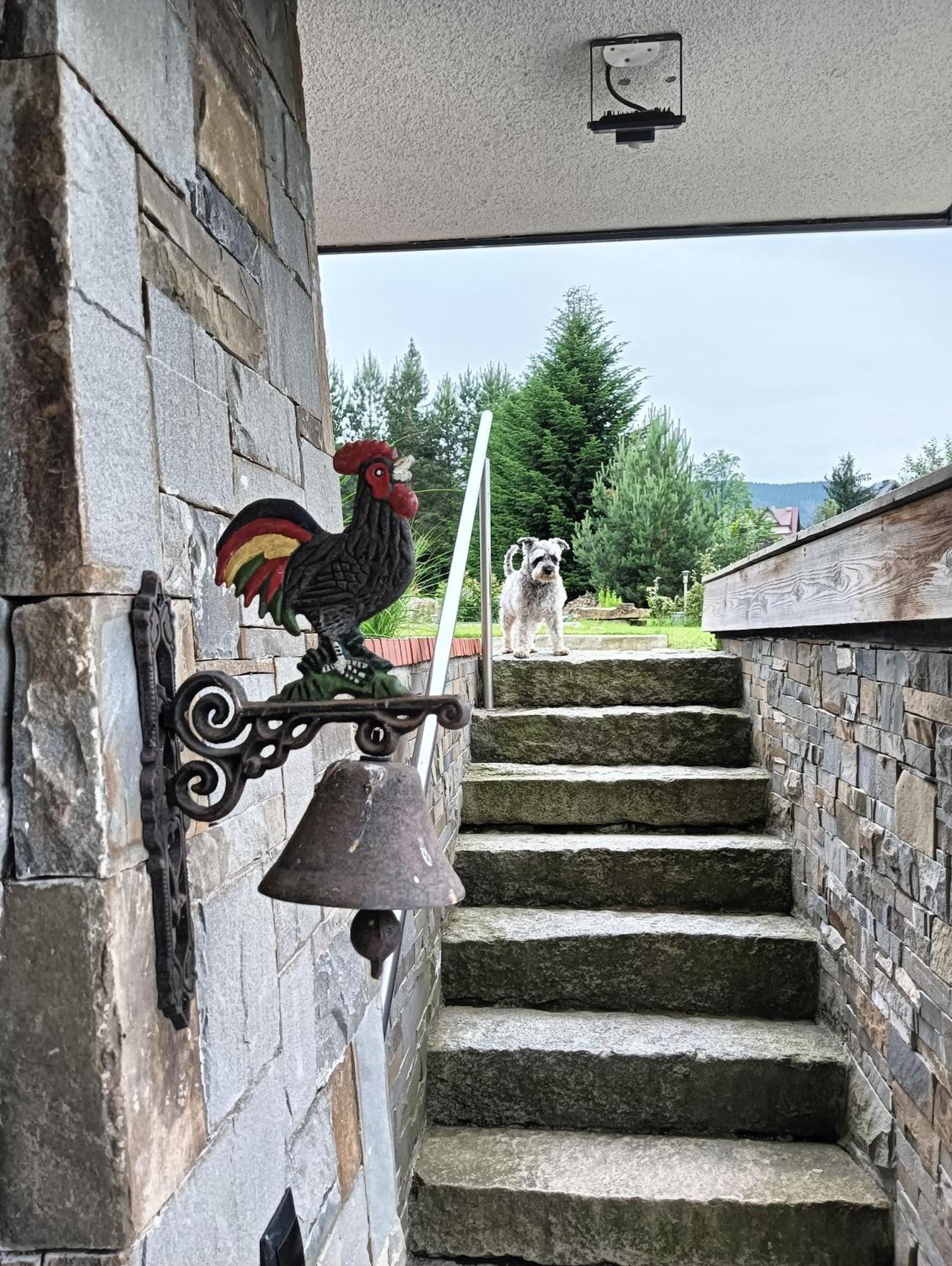 Apartament Nad Stawem Zakopane Exteriér fotografie